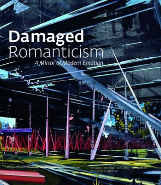 Kniha Damaged Romanticism Colin Gardner