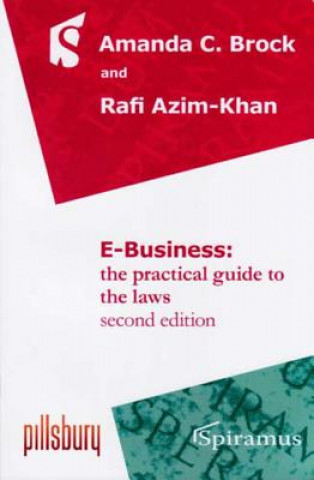 Knjiga E-Business Rafi Azim-Khan