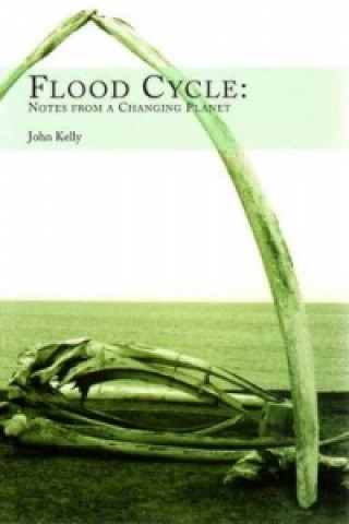 Kniha Flood Cycle John Kelly