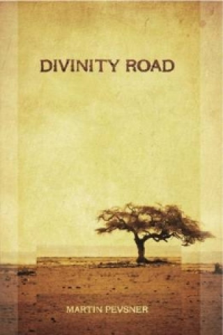 Kniha Divinity Road Martin Pevsner