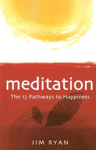 Kniha Meditation: the 13 Pathways to Happiness Jim Ryan