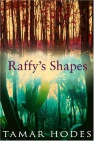 Kniha Raffy's Shapes Tamar Hodes