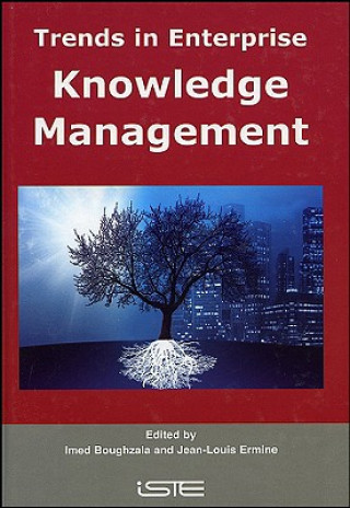 Kniha Trends in Enterprise Knowledge Management Imed Boughzala