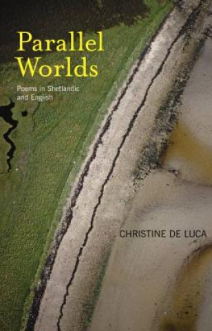 Knjiga Parallel Worlds Christine De Luca