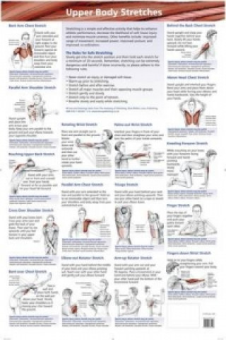 Kniha Stretching Charts (Lower Body, Upper Body, Neck, Back and Core) Brad Walker