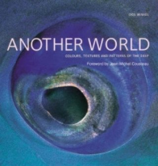 Книга Another World Dos Winkel