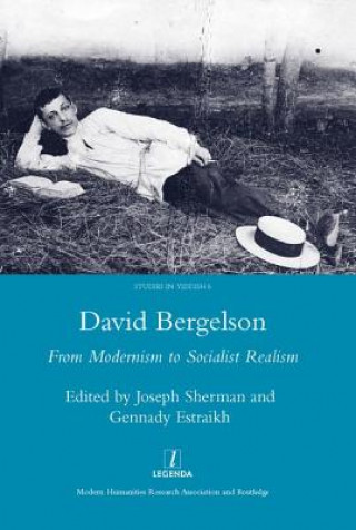 Kniha David Bergelson Joseph Sherman