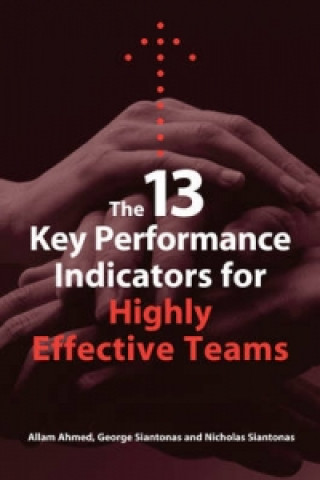 Kniha 13 Key Performance Indicators for Highly Effective Teams Allam Ahmed