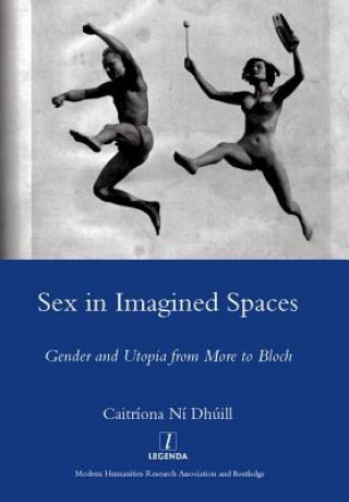 Книга Sex in Imagined Spaces Caitriona Dhuill