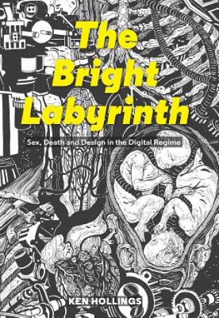 Könyv Bright Labyrinth Ken Hollings