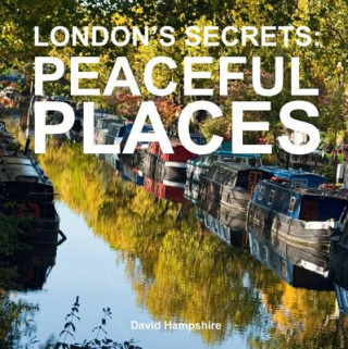 Kniha London's Secrets David Hampshire