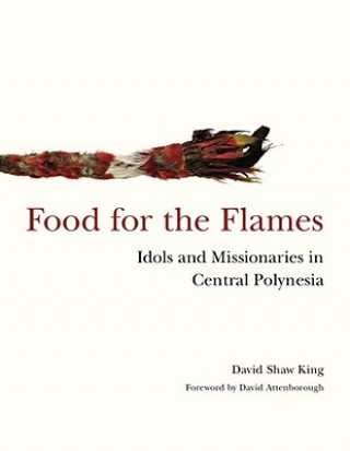 Kniha Food for the Flames David Shaw King