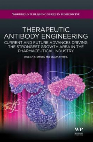 Buch Therapeutic Antibody Engineering William R. Strohl