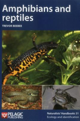 Könyv Amphibians and reptiles Trevor J. C. Beebee