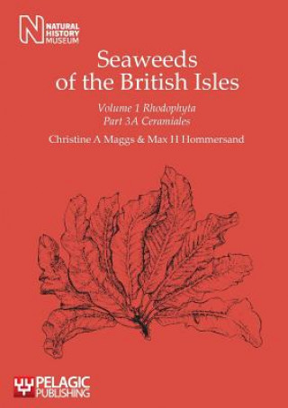 Könyv Seaweeds of the British Isles Christine A. Maggs