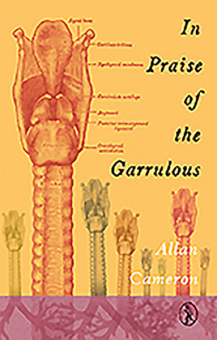 Könyv In Praise of the Garrulous Allan Cameron