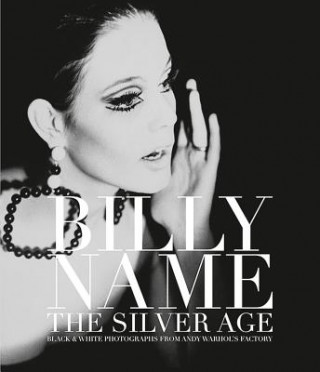 Книга Billy Name: The Silver Age Billy Name