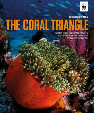Könyv Coral Triangle Ken Kassem