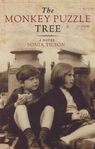 Könyv Monkey Puzzle Tree Sonia Tilson