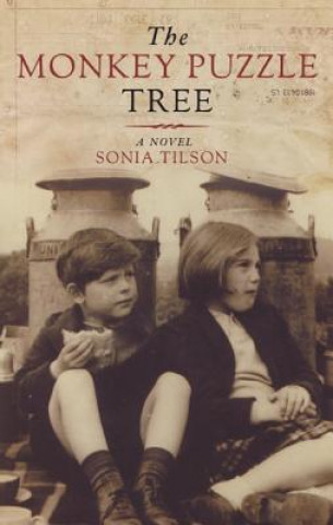 Livre Monkey Puzzle Tree Sonia Tilson