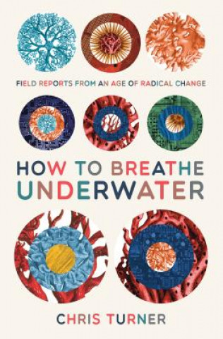 Book How to Breathe Underwater Chris Turner