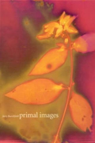 Book Primal Images Jerry Burchfield