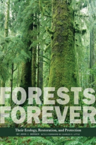 Книга Forests Forever John J. Berger