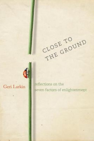 Könyv Close to the Ground Geri Larkin