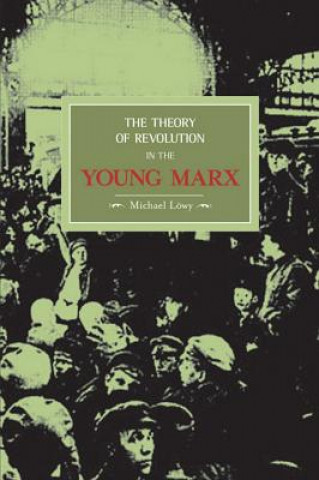 Libro Theory Of Revolution In The Young Marx Michael Lowy