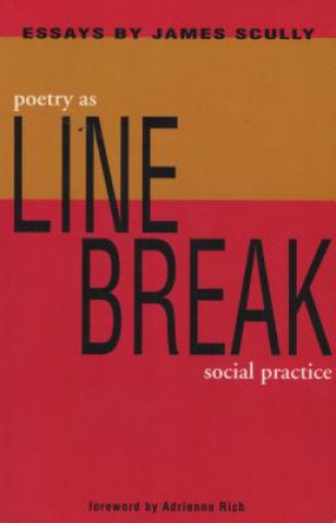 Kniha Line Break James Scully