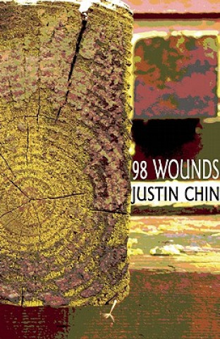 Kniha 98 Wounds Justin Chin
