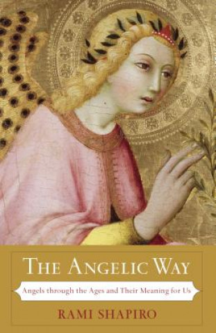 Kniha Angelic Way Rami Shapiro