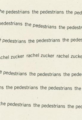Kniha Pedestrians Rachel Zucker