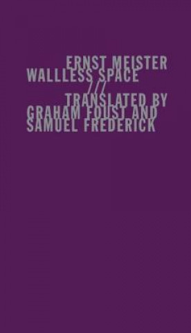 Livre Wallless Space Ernst Meister