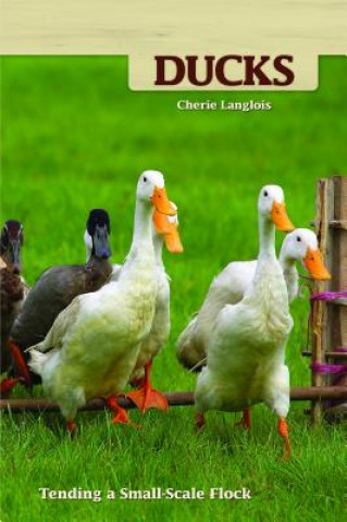Książka Ducks Cherie Langlois