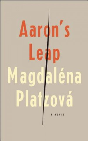 Kniha Aaron's Leap Magdaléna Platzová