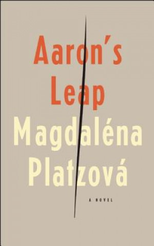 Buch Aaron's Leap Magdaléna Platzová