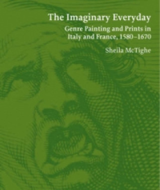 Knjiga Imaginary Everyday Sheila McTighe