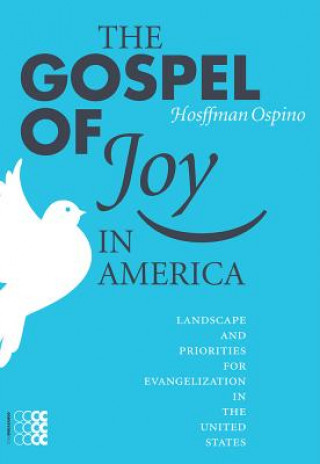 Knjiga Gospel of Joy in America Anselm Grün