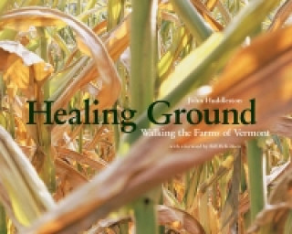 Kniha Healing Ground John Huddleston