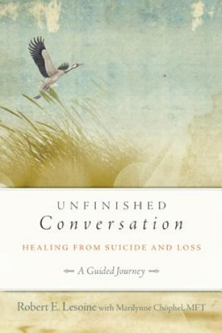 Könyv Unfinished Conversation Robert Lesoine
