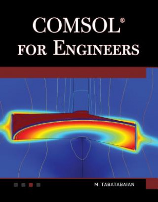 Könyv Comsol for Engineers M. Tabatabaian