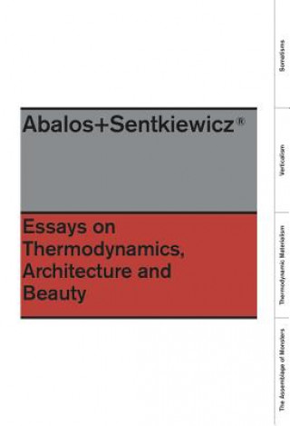 Könyv Essays on Thermodynamics. Renata Snetkiewicz