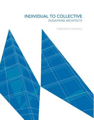 Book Individual to Collective Duda Paine Architects