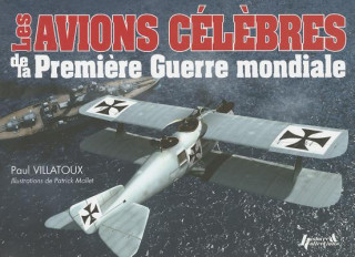 Carte Les Avions Celebres De La Premiere Guerre Mondiale Paul Villatoux
