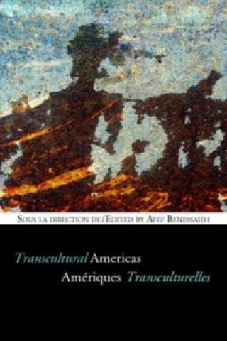 Kniha Ameriques transculturelles - Transcultural Americas 