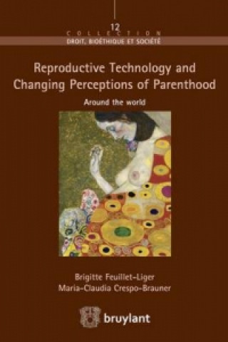 Kniha Reproductive Technology and Changing Perceptions of Parenthood around the world Brigitte Feuillet-Liger