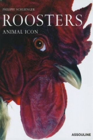 Knjiga Rooster Philippe Schlienger