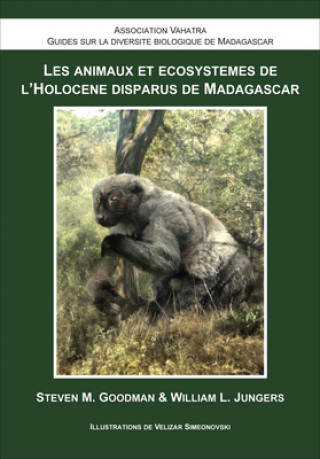 Carte Les Animaux et Ecosystemes de l'Holocene Disparus de Madagascar William L. Jungers
