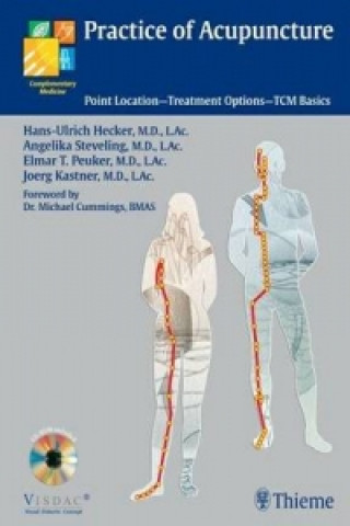 Kniha Practice of Acupuncture Jorg Kastner